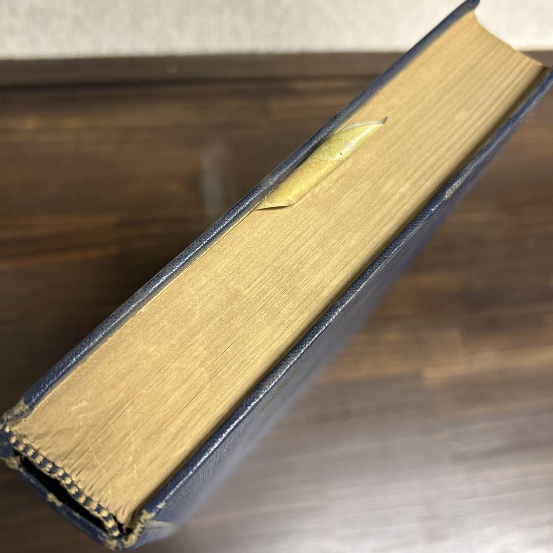 語学・辞書・学習参考書 Mechanics of Thrust FaultsandDecollement