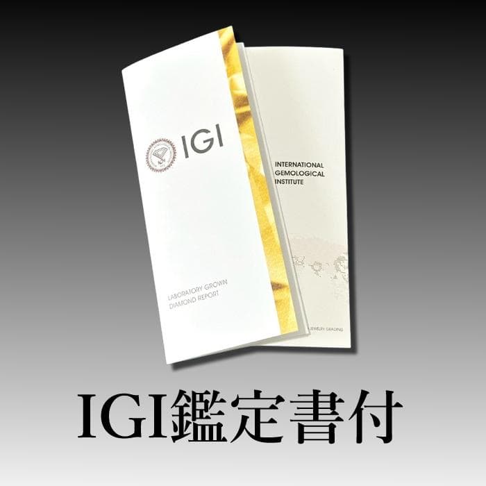 ラボグロウンダイヤモンド 0.5ct VVS1クラス ～鑑定書付き～ TALLINNNEXPO_COM