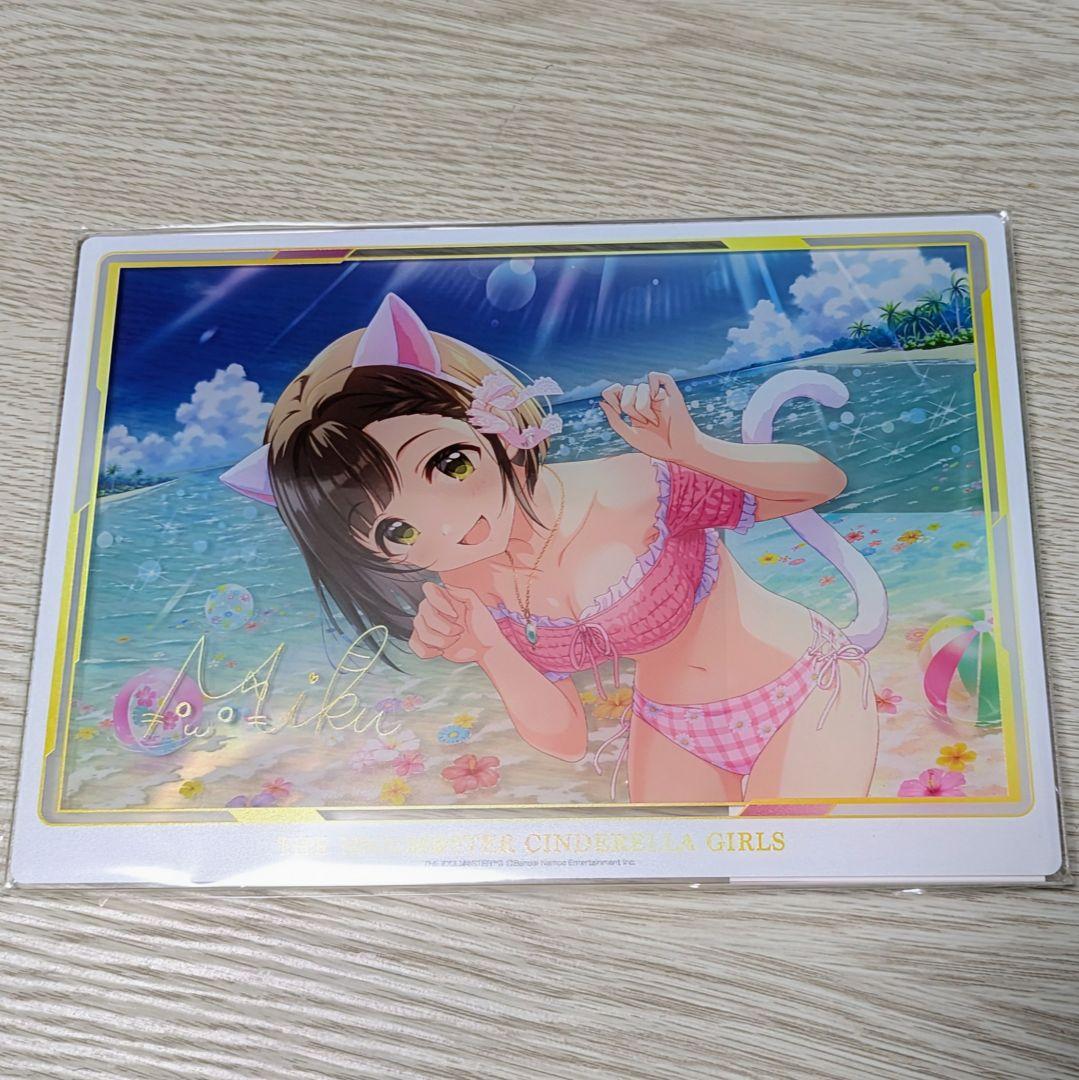 TCG専門店 Day屋 蒲田店 通販サイト / Starry-Go-Round 前川みく