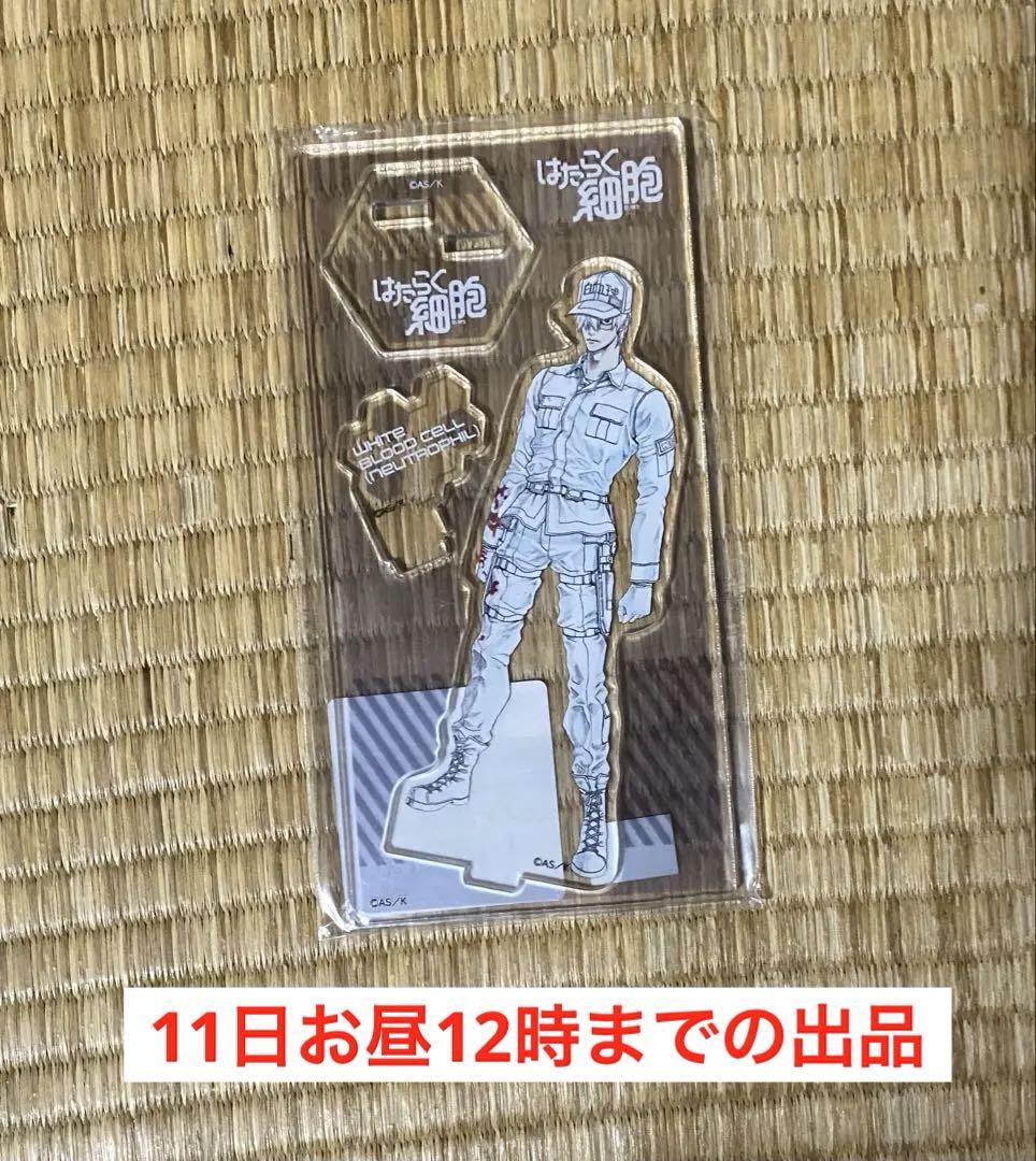 はたらく細胞　原画展　白血球(好中球) アクリルスタンド