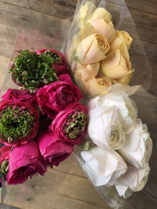 【ネット限定】 特価30本‼️【576】ラナンキュラス MIX 生花 切花 春花 長野県産 花材 【ネット限定】 特価30本‼️【576】ラナンキュラス MIX 生花 切花 春花 長野県産 花材