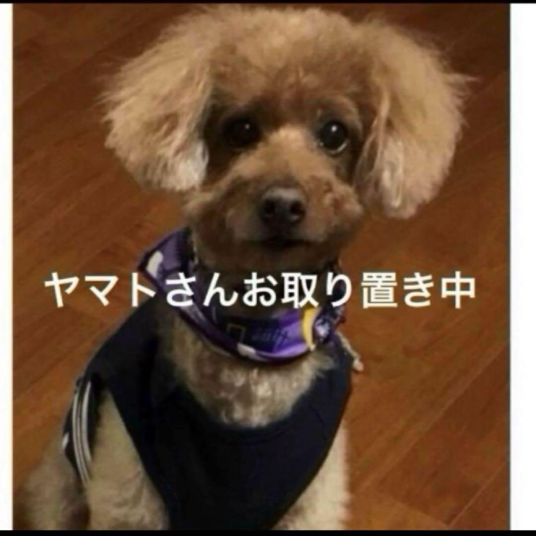 ヤマトさんご専用