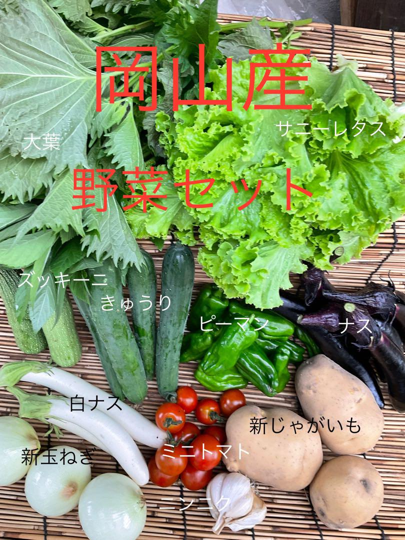 岡山産 野菜セット 80サイズ - メルカリ