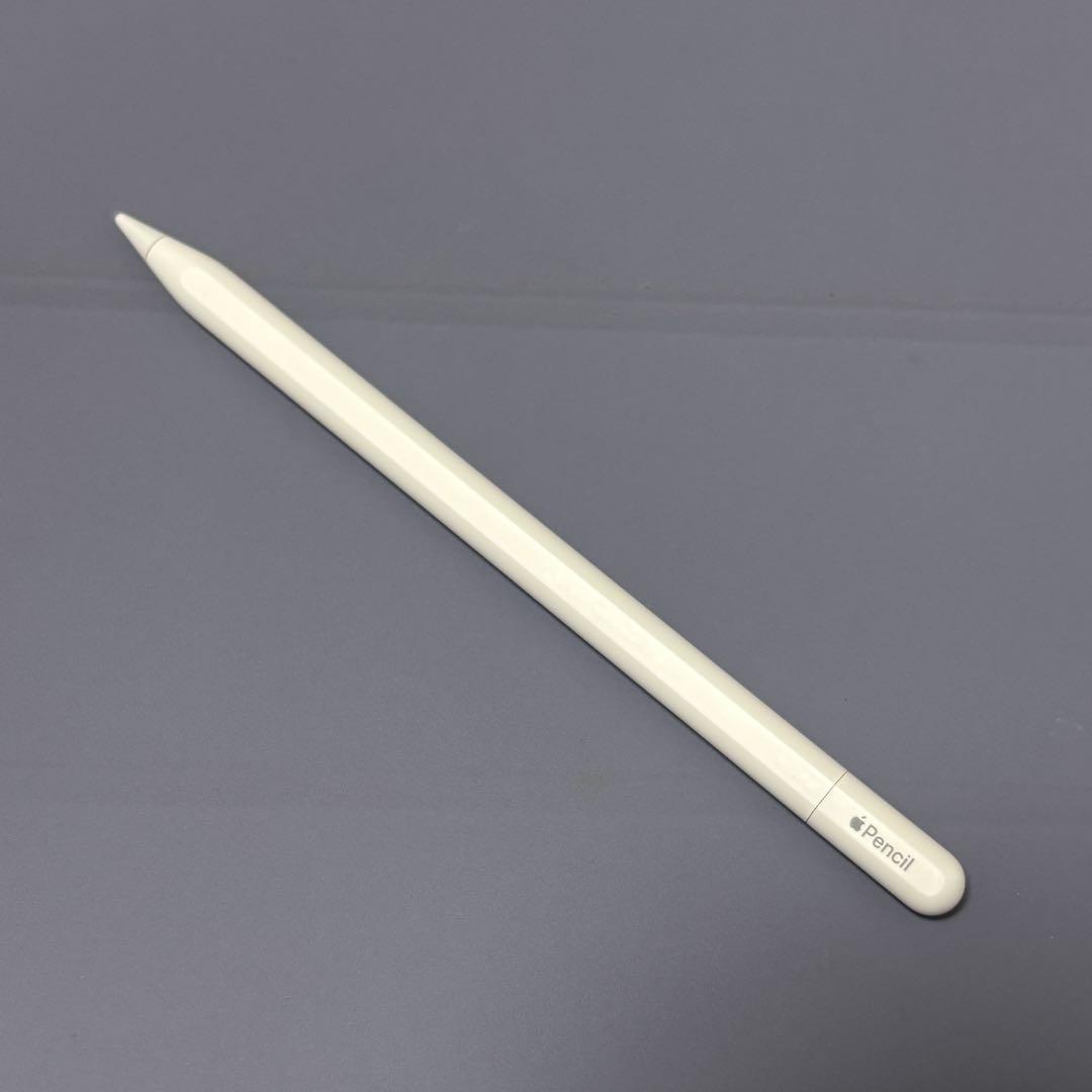iPadアクセサリー Apple Pencil (USB-C)