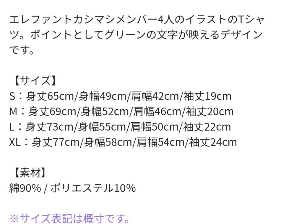 Amazon.co.jp: エレカシ 野音2023 Tシャツ グレー Sサイズ