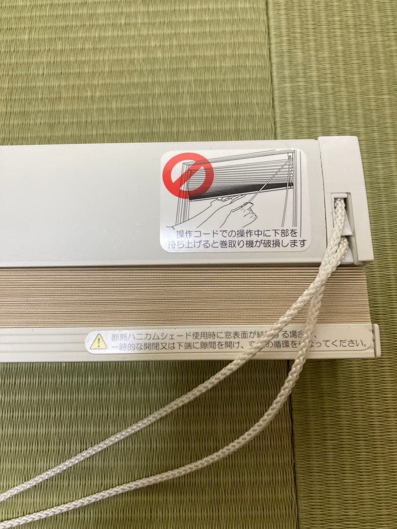 1586cm× 867cm目立った傷や汚れなし