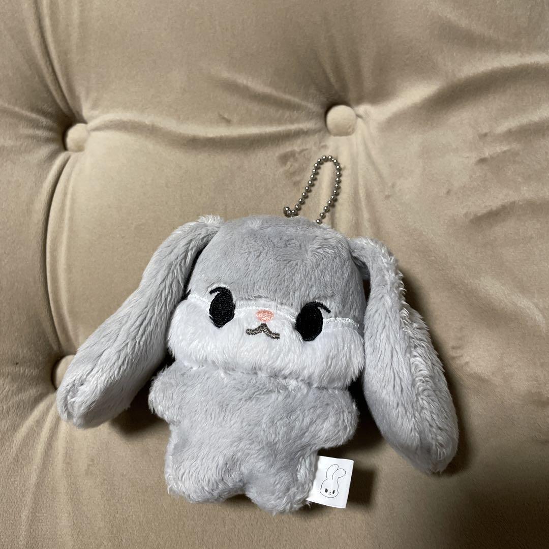 NCT ドヨン ぬいぐるみ 美品 Amazon | NCTドヨン ぬいぐるみ 「ハト」 10cm うさぎ