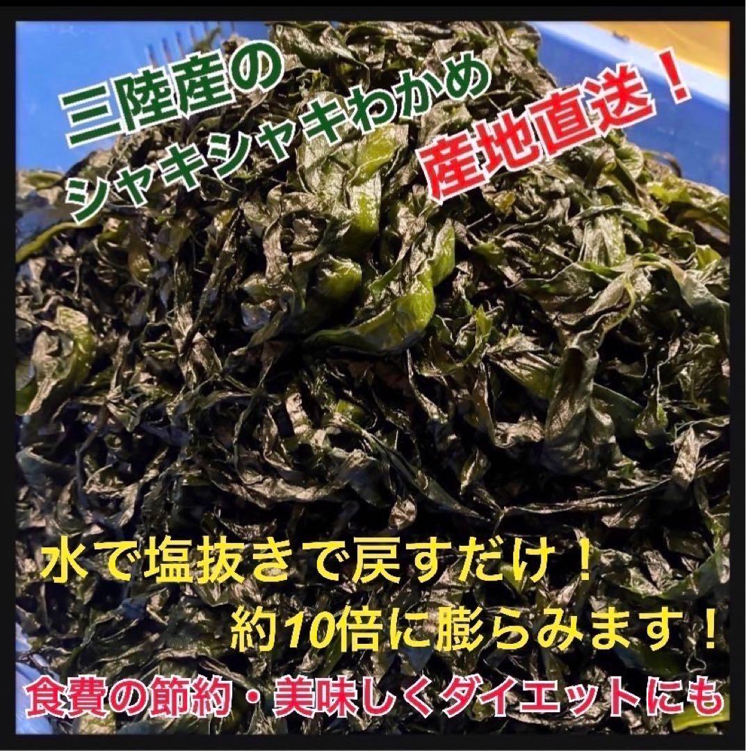 【遠方の方へ冷蔵クール便】塩蔵わかめ 400g×10袋 4kg 三陸産 わかめ