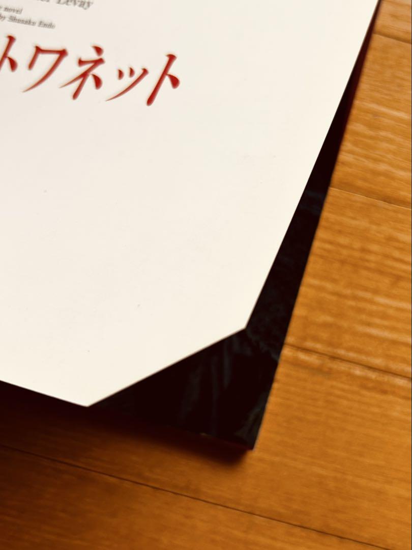 「マリー・アントワネット」 ミュージカル ピアノ弾き語り 舞台写真入り