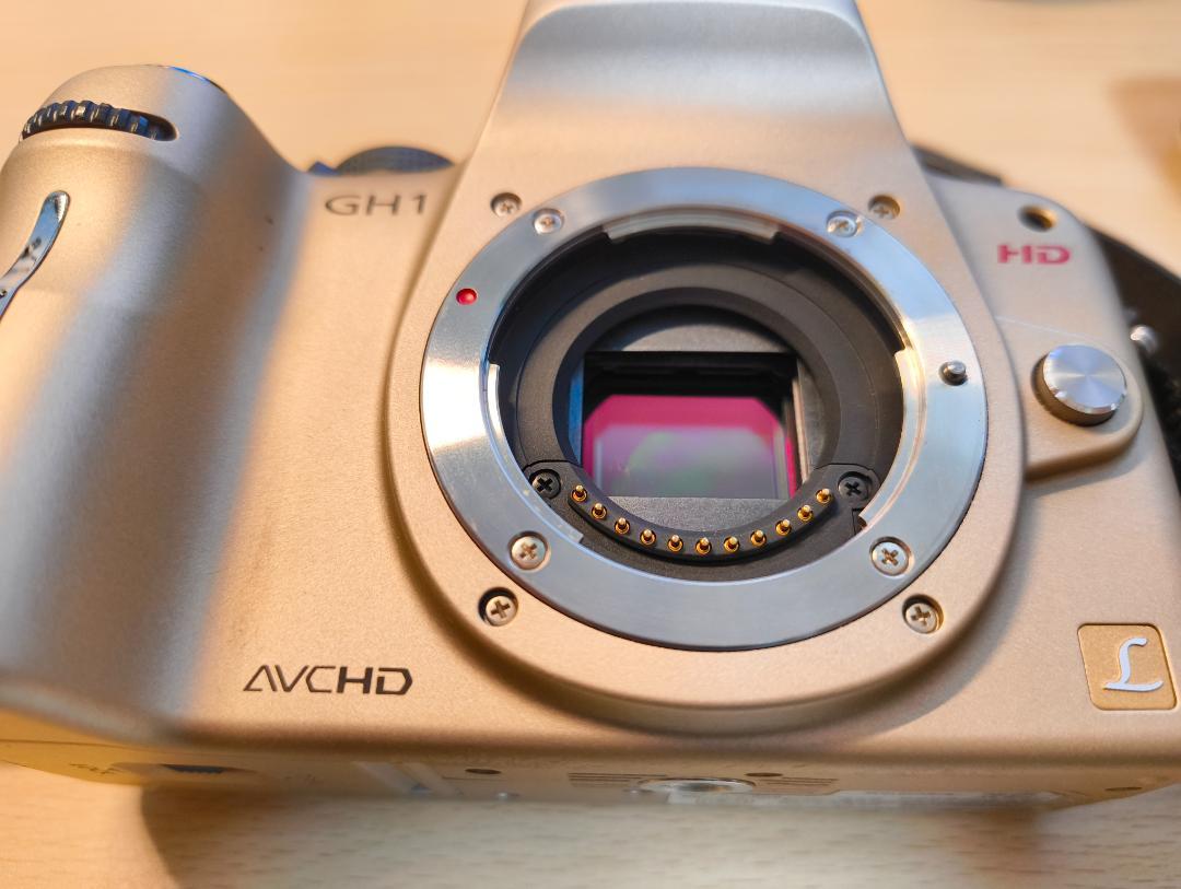 Panasonic LUMIX DMC-G1/H-VS014140（ゴールド）