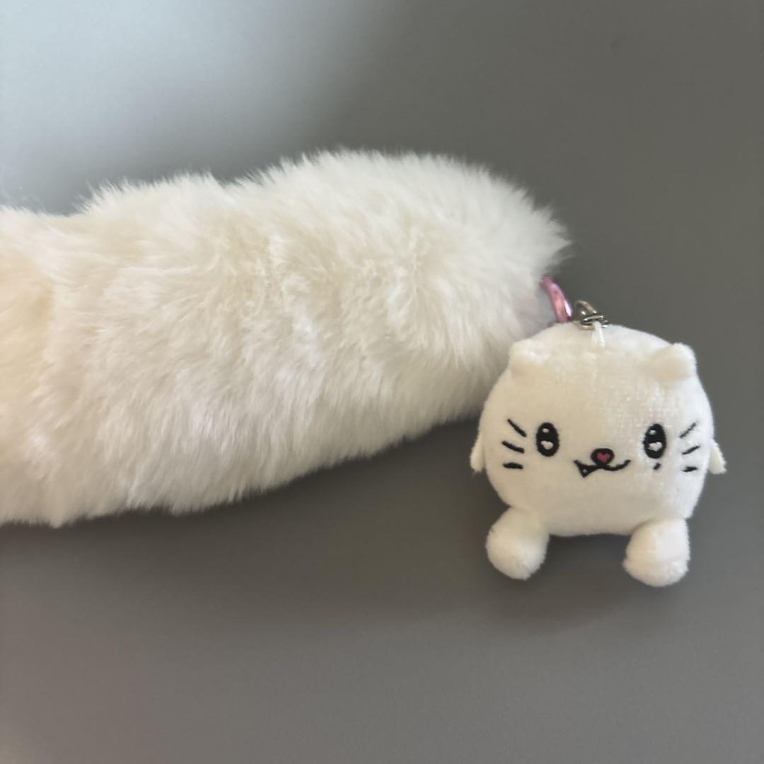 にゃでもち　タカシ　【即日発送】