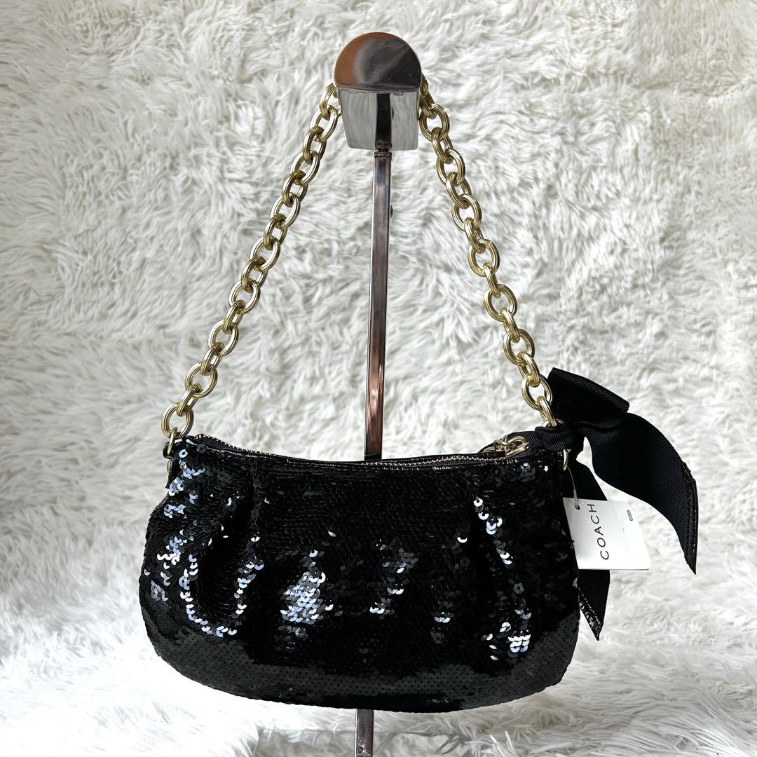 Sequins Bag