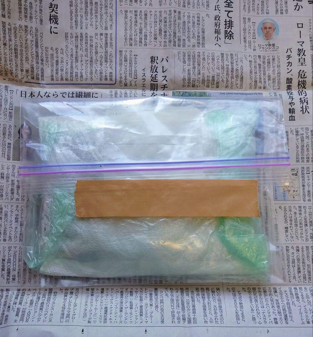 花山椒 新鮮摘みたて 100g