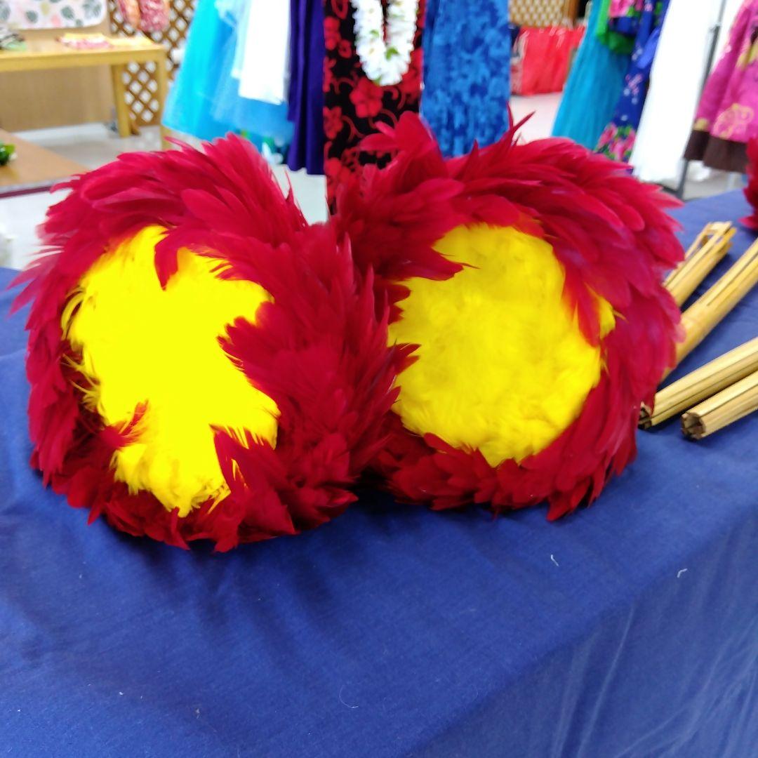 フラ用ウリウリ目立った傷や汚れなし