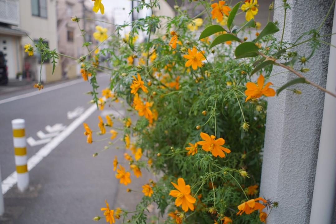 専用 SMC Takumar 28mm F3.5 Eマウント yWUen-m89823279524 レアPENTAX NEW在庫