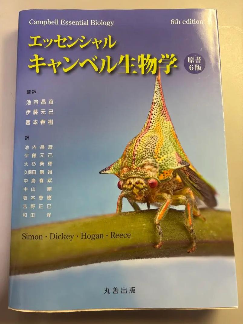 北山修（編）『共視論 母子像の心理学』、講談社選書メチエ