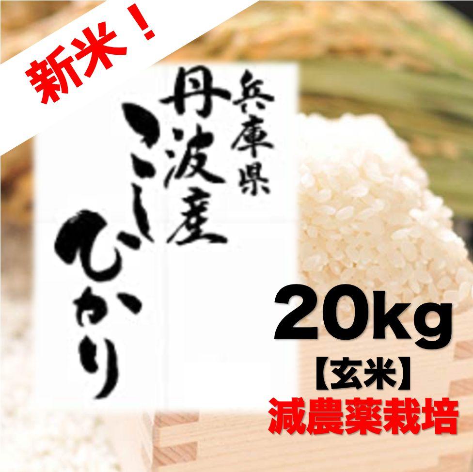 お米　コシヒカリ　玄米　２０kg 令和6年丹波産 新米