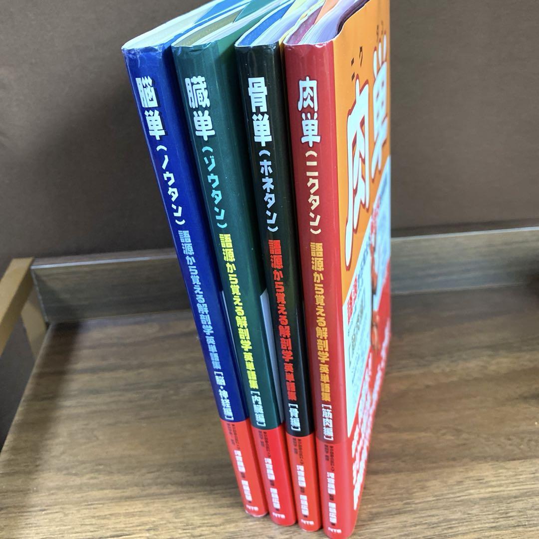 解剖学単語シリーズ 4冊セット 肉単 骨単 臓単 脳単Ω