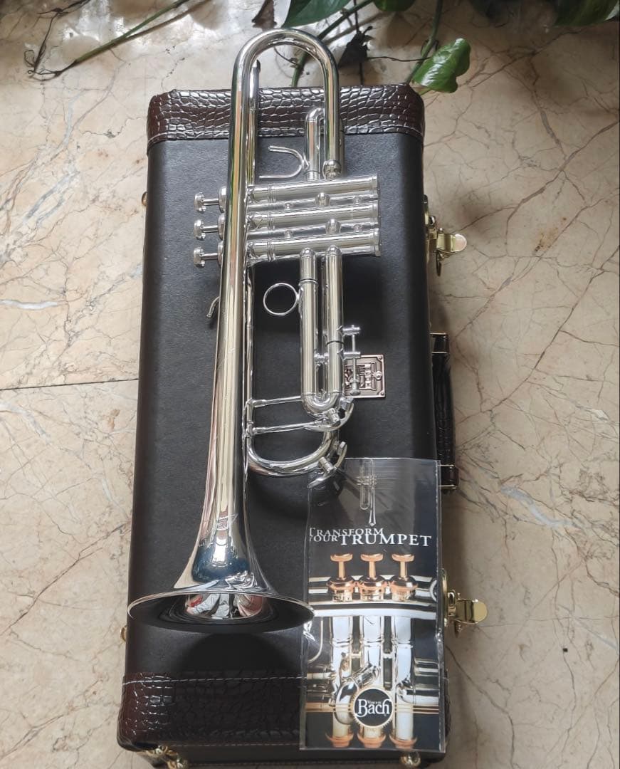 アメリカ製 バッハ B♭トランペットBACH 180-37