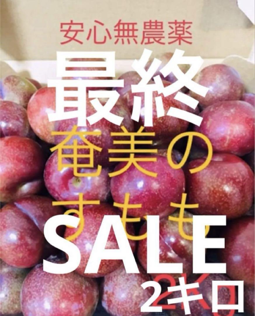 ★もうすぐ終了★安心無農薬栽培　奄美のすもも　プラム　ガラリ2キロ＋100g