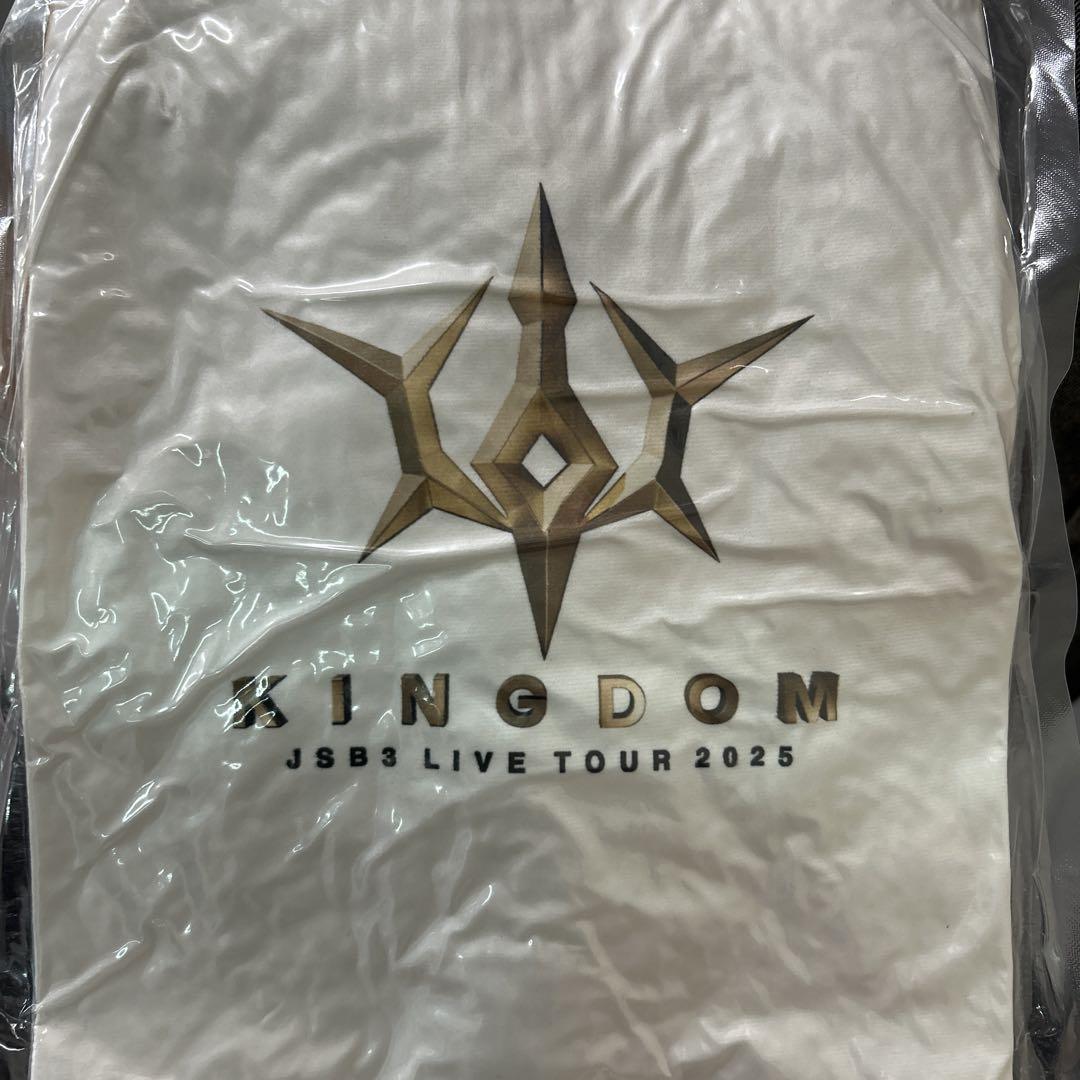  2025年おすすめのアイテム満載 三代目 KNGDOM カプセルレア ELLY - メルカリ ミュージシャン