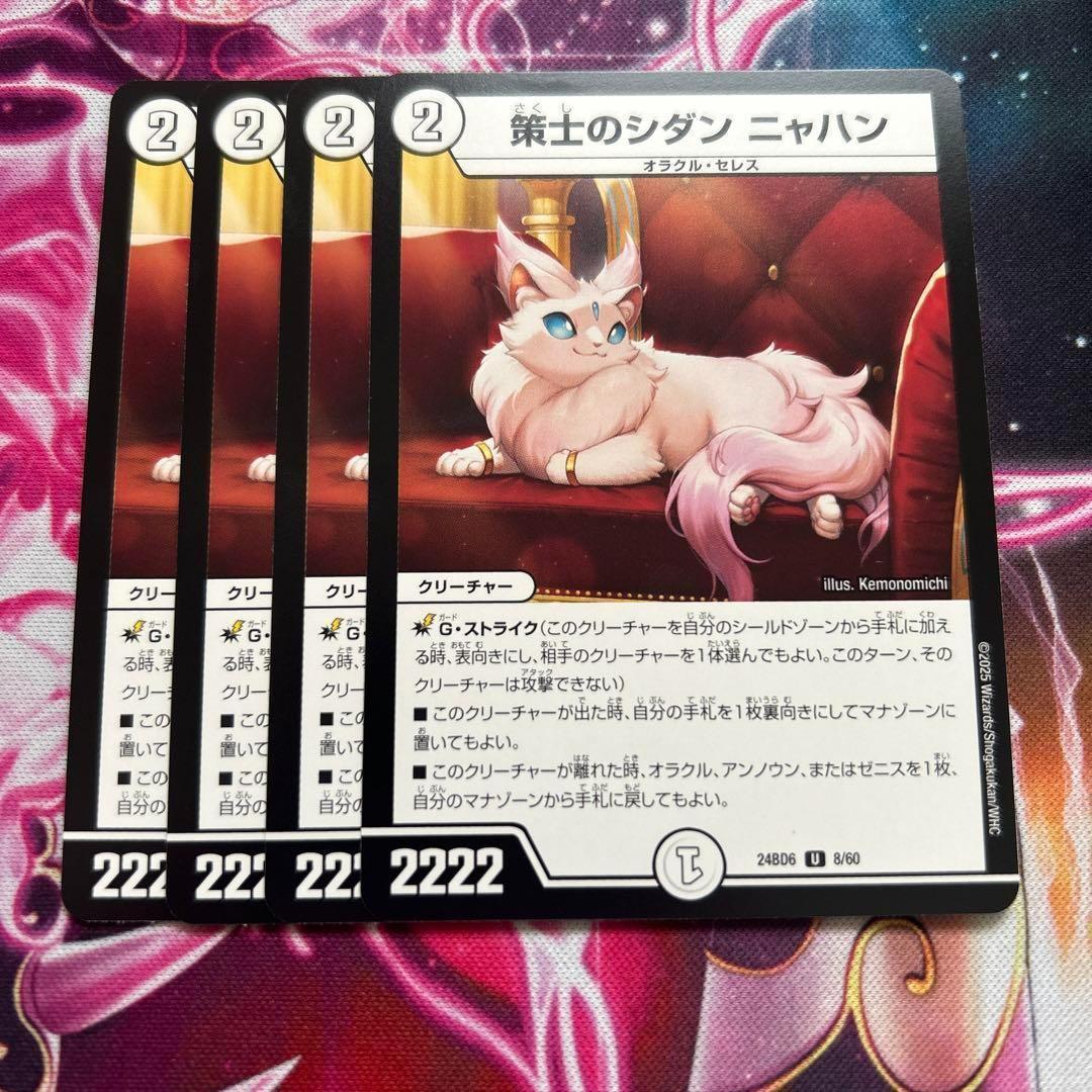 策士のシダン ニャハン シダンニャハン　4枚 策士のシダン ニャハン シダンニャハン 4枚新 発売
