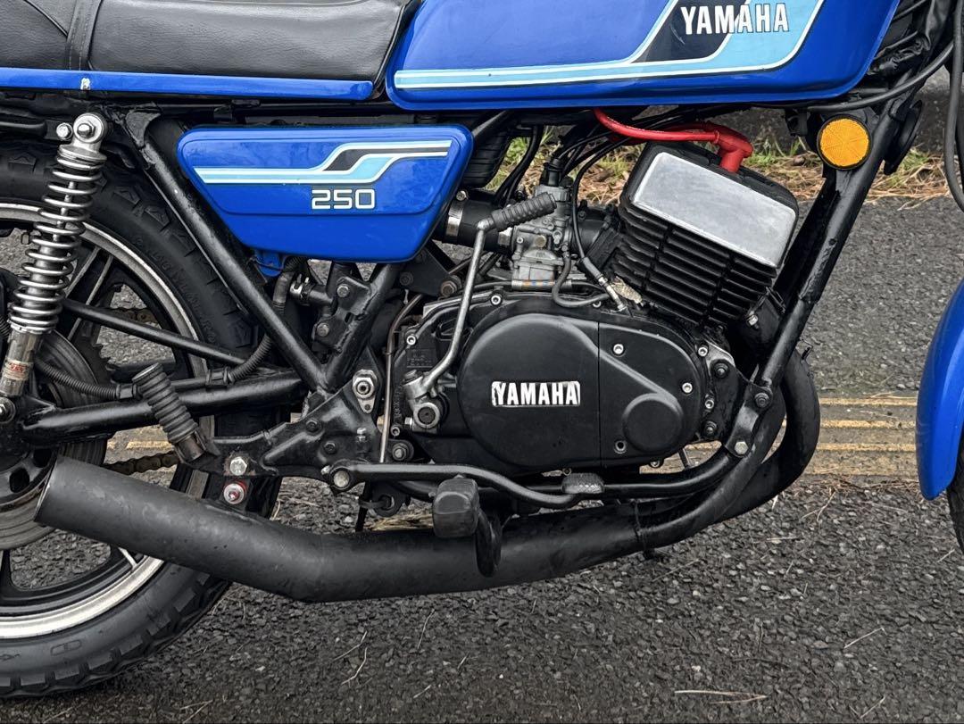 RZ250