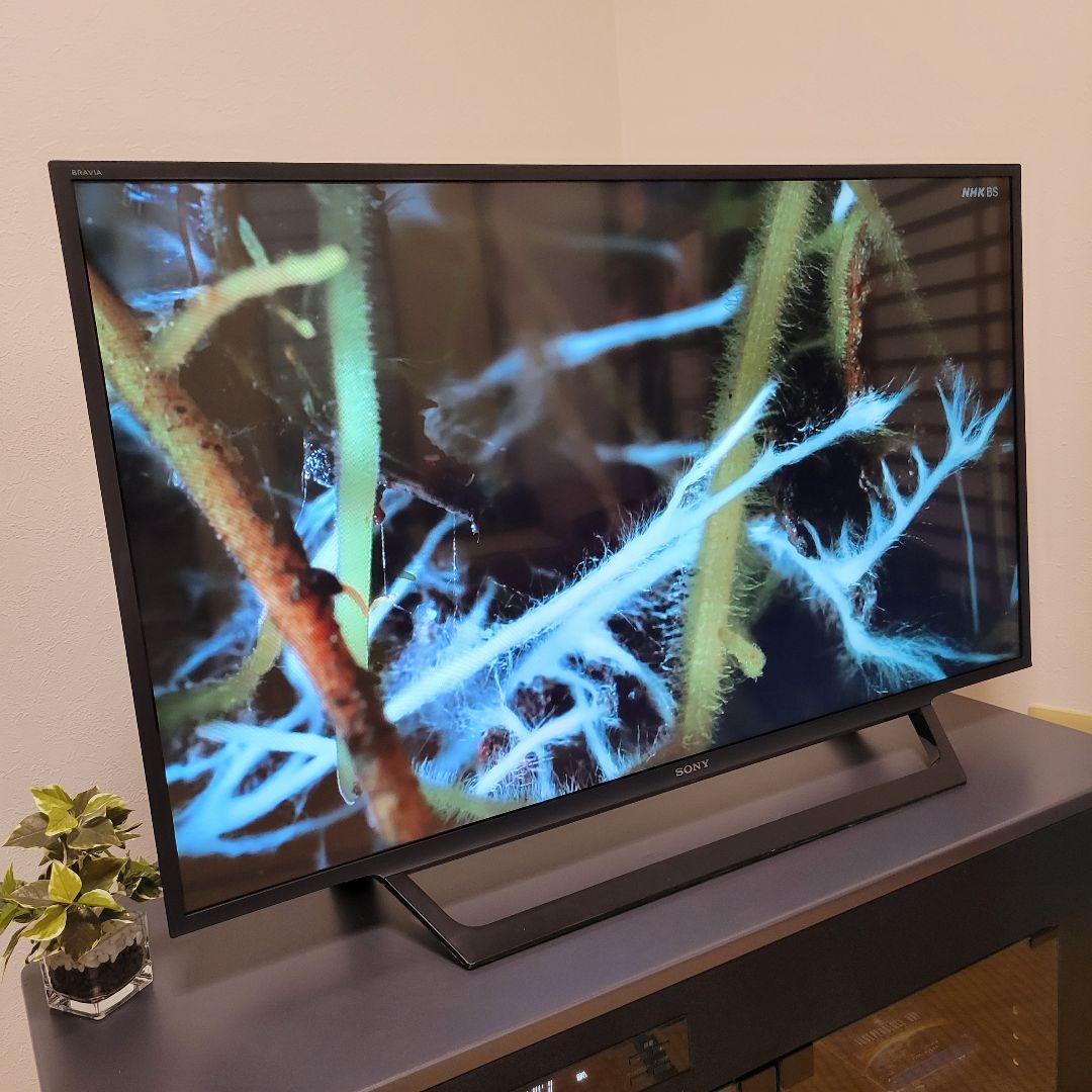 魅せるテレビ■BRAVIA43型液晶テレビ／未開封FireTVStick付き