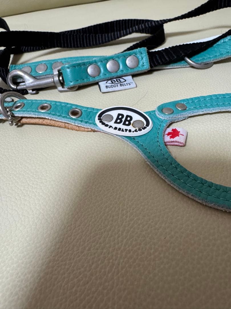 Buddy Belt ハーネス ターコイズ 2.5