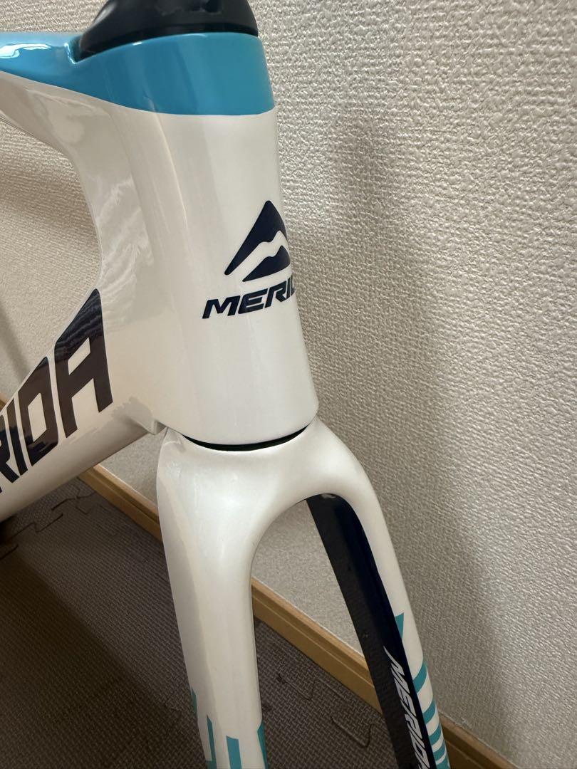 MERIDA REACTO TEAM 2024 メリダ　リアクト　チーム