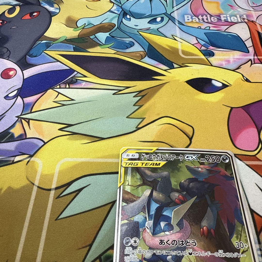 ゲッコウガ&ゾロアーク　sa