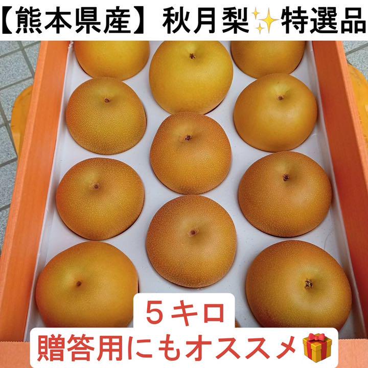 熊本県産】秋月梨 送料無料 時期限定 5kg ☆特選品 贈答用に最適です - メルカリ 熊本県産】秋月梨 送料無料 時期限定 5kg ☆特選品 贈答用に最適です - メルカリ