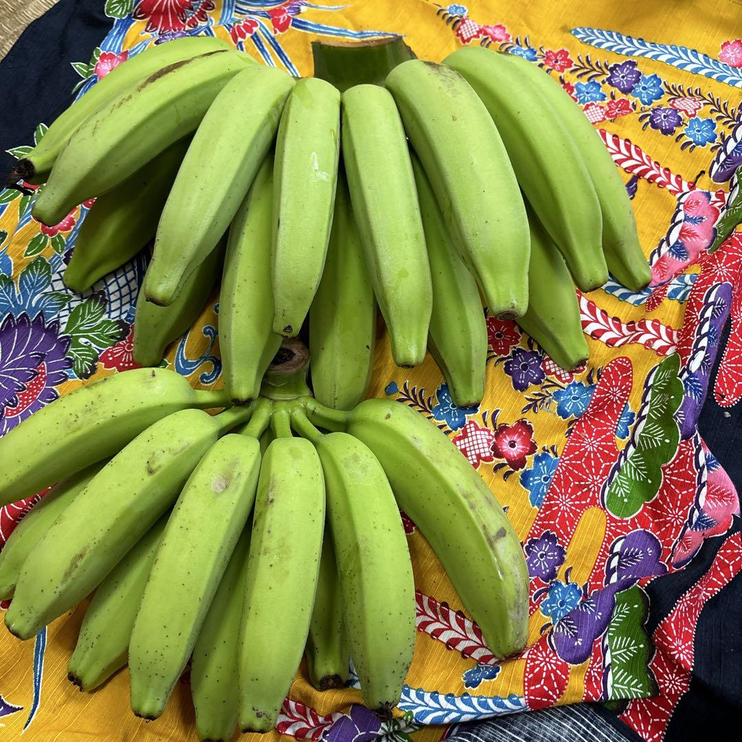島バナナ⭐️4.5キロ⭐️訳あり⭐️加工用⭐️在庫処分価格