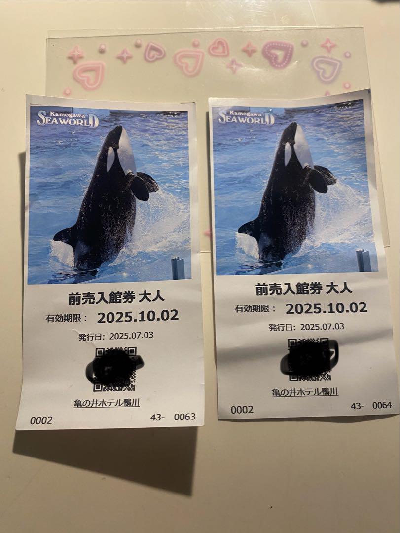 ここあ様専用　鴨川シーワールド　前売入場件　大人２枚