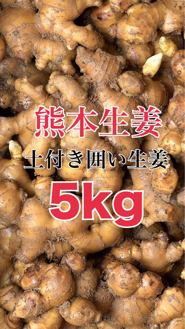 熊本生姜 5キロ