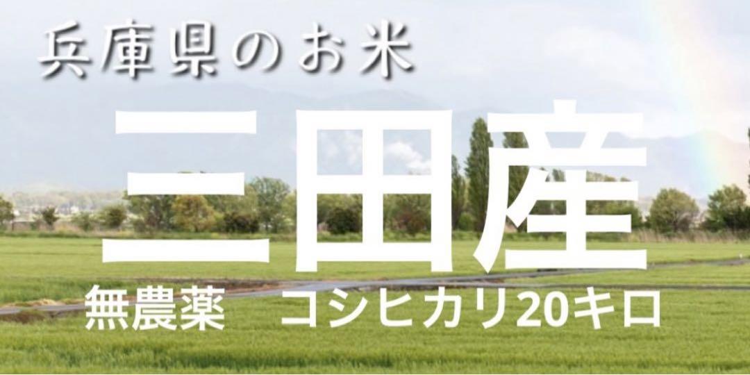 白米　新米　令和5年産　完全無農薬栽 兵庫県三田産コシヒカリ　20キロ　送料無料