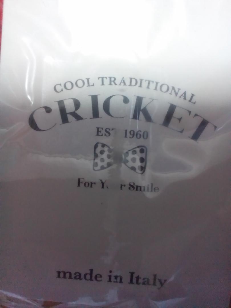 【CRICKET】『クリケット　メンズソックス　サイズ40-42　イタリア製』