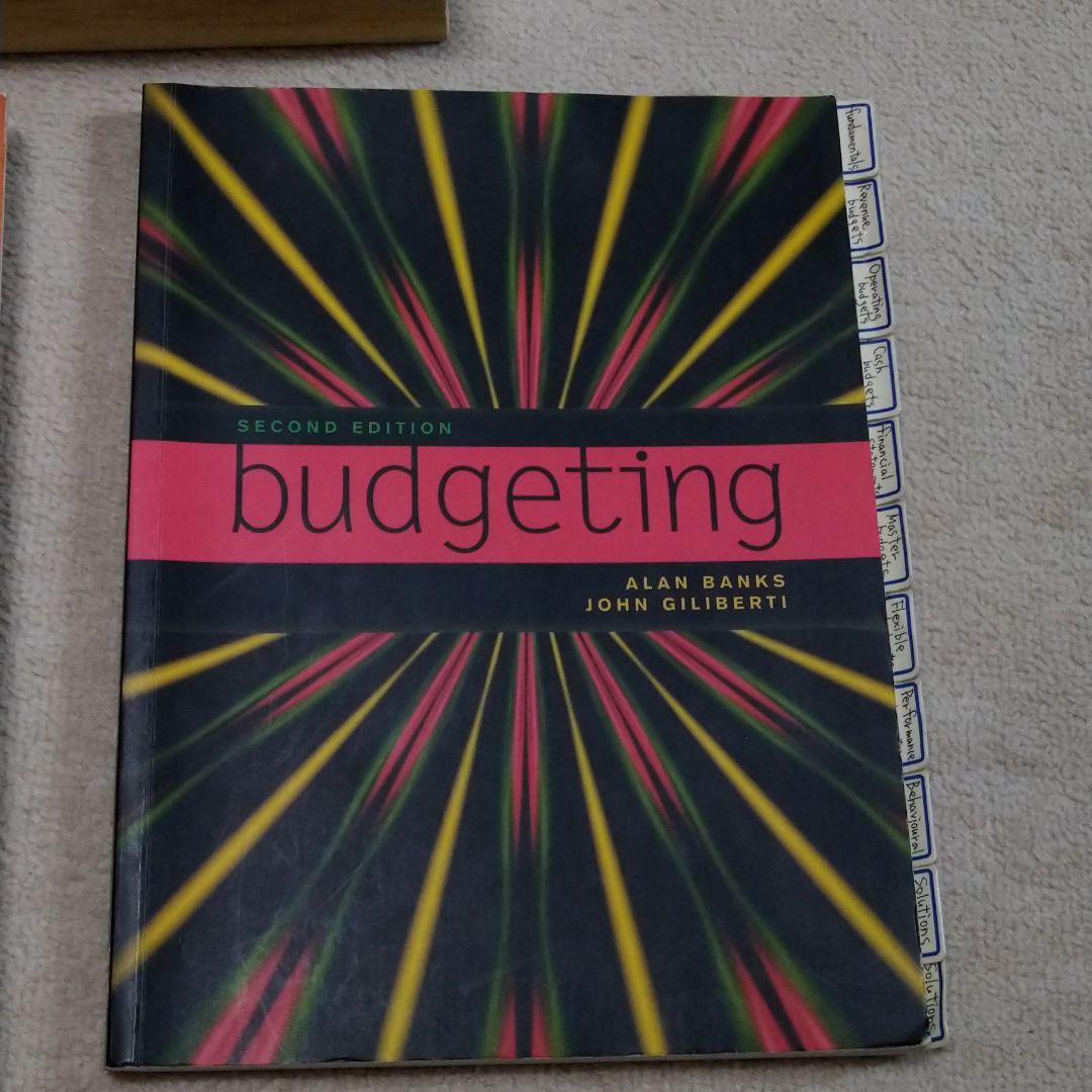 ※再値下※ ACCOUNTIG ECONONICS budgeting 本3冊