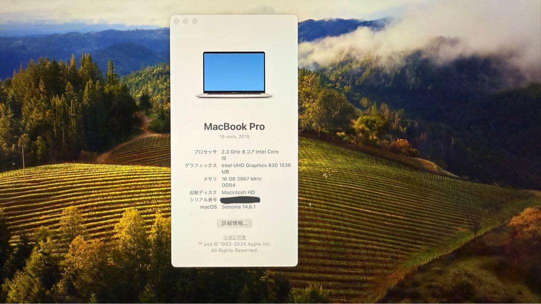 MacBook Pro (16インチ, 2019)【i9・16GB・1TB】