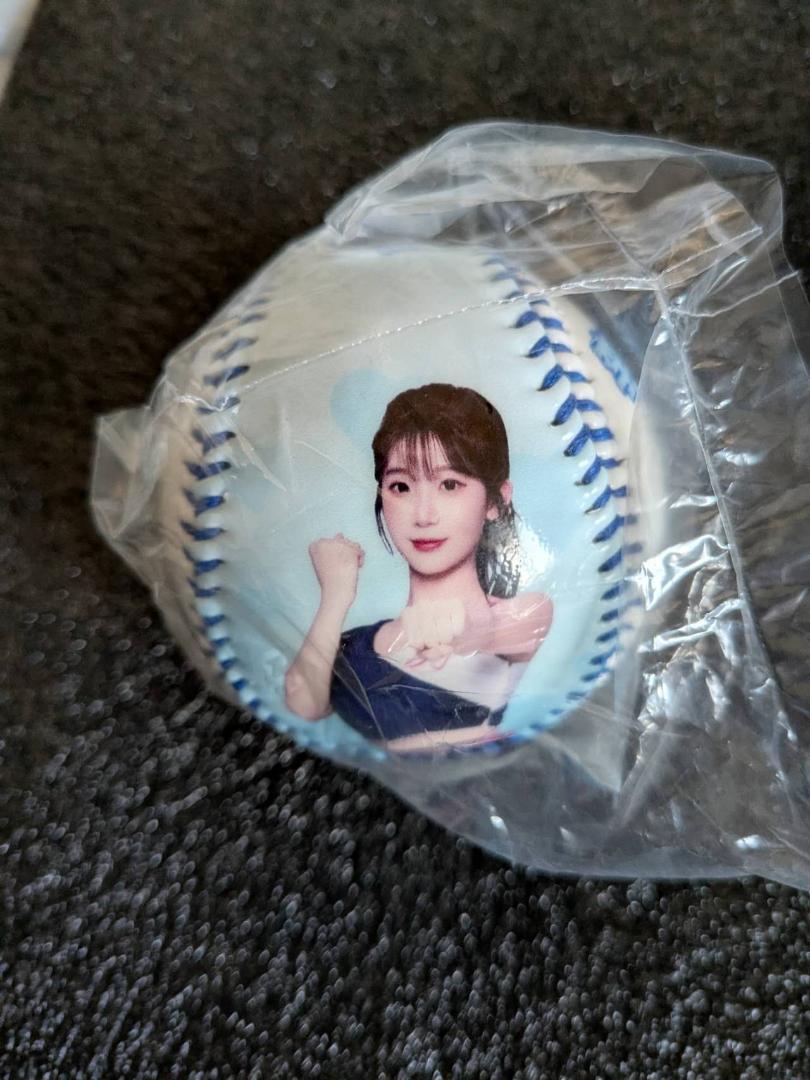 台湾プロ野球 富邦ガーディアンズチア 李珠珢　グッズセット　2025 台湾プロ野球 富邦ガーディアンズチア 李珠珢 グッズセット 2025