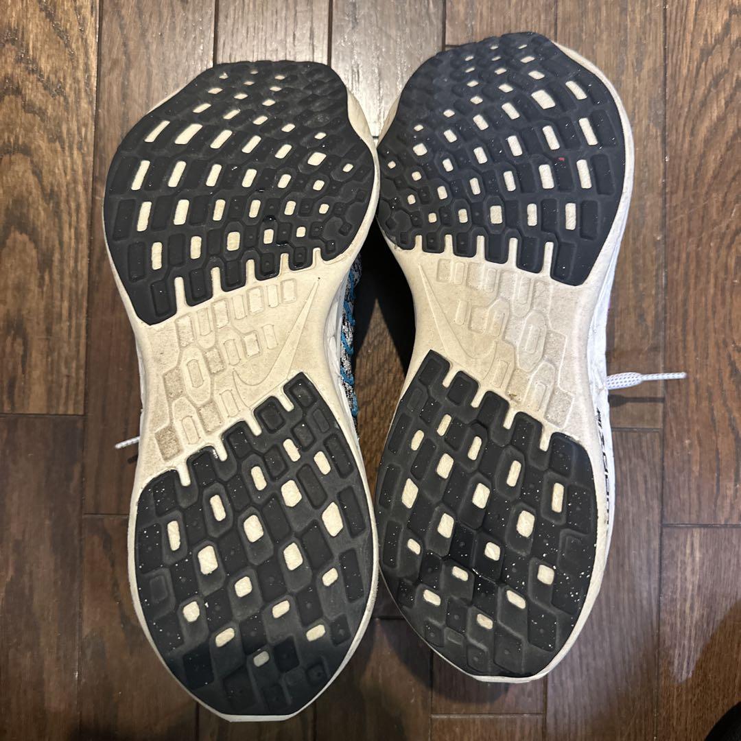 【26.5】 NIKE ナイキ ペガサスターボ ネクストネイチャー SE