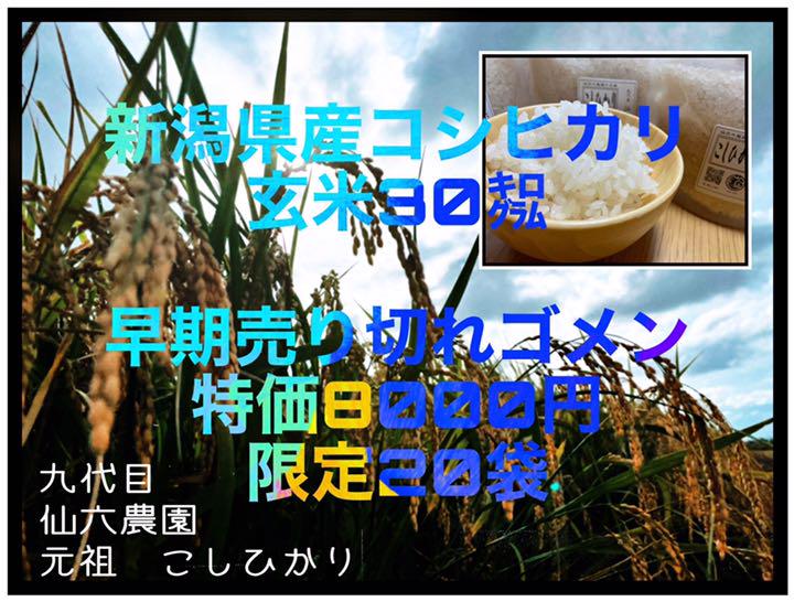 お好み焼き様専用 令和3年 新潟県産 幻の従来コシヒカリ 玄米30キロ