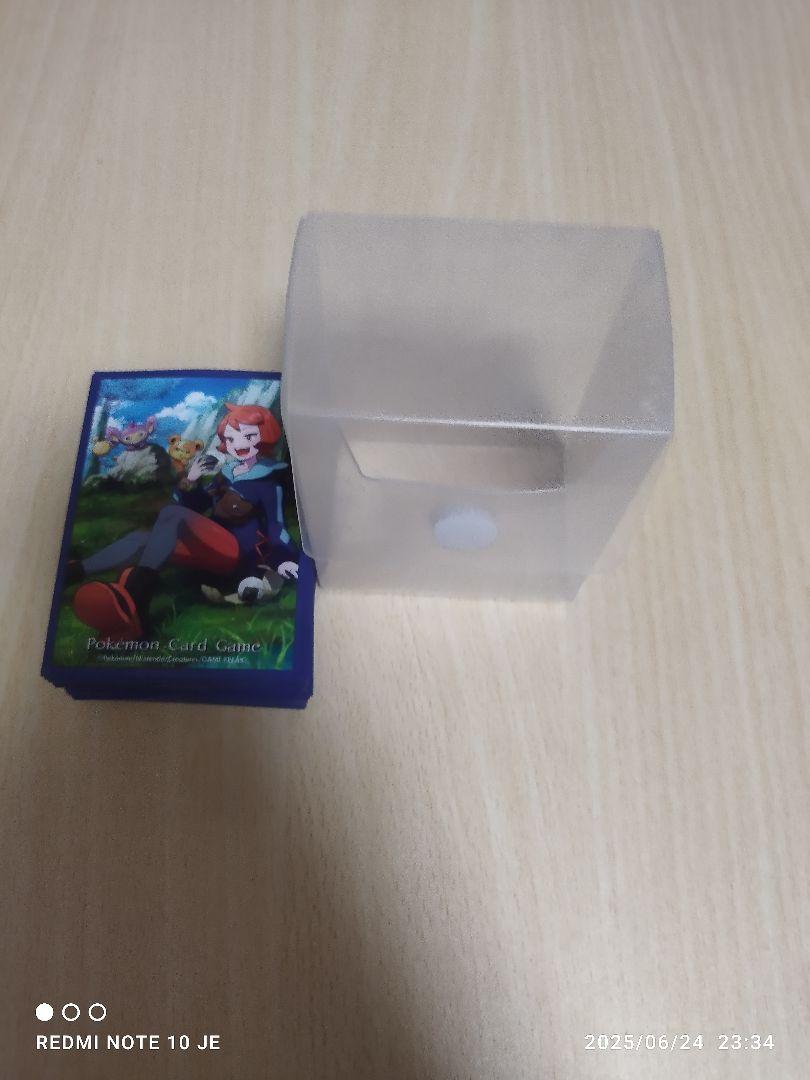 ポケモンカードゲーム　タケルライコ　ナンジャモのハラバリーデッキ