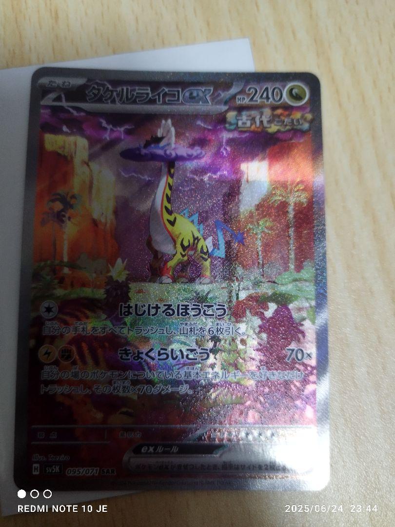 ポケモンカードゲーム　タケルライコ　ナンジャモのハラバリーデッキ