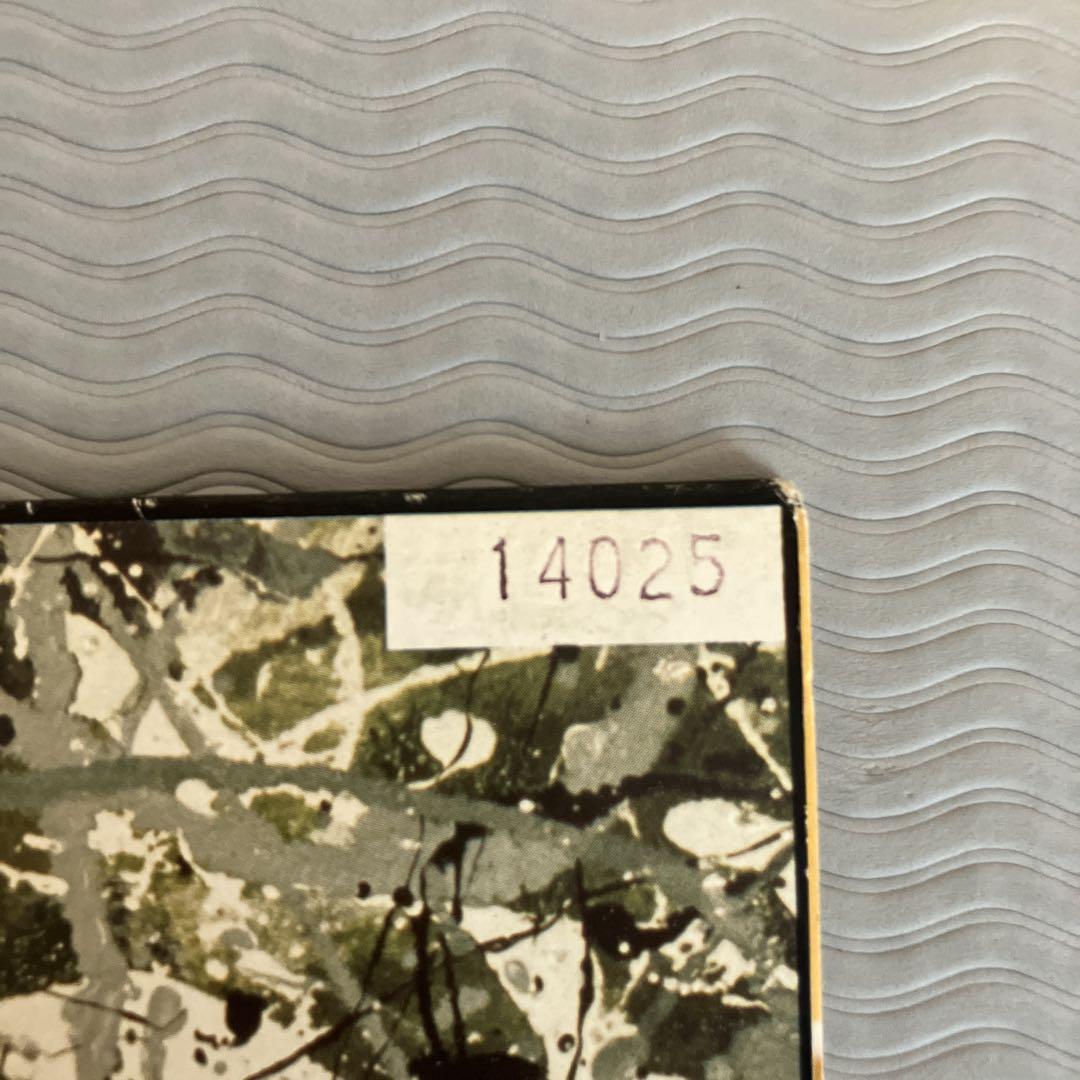 THE STONE ROSES 2LP レコード