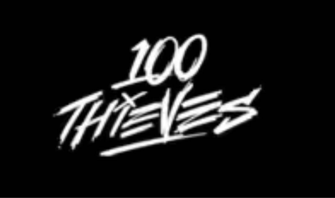 adidas ✖︎ 100 THIEVES 長袖ジャージーサイズL