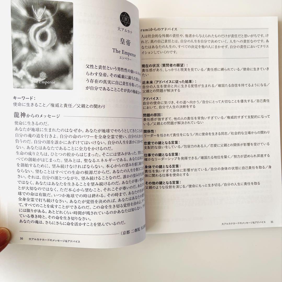解説書付