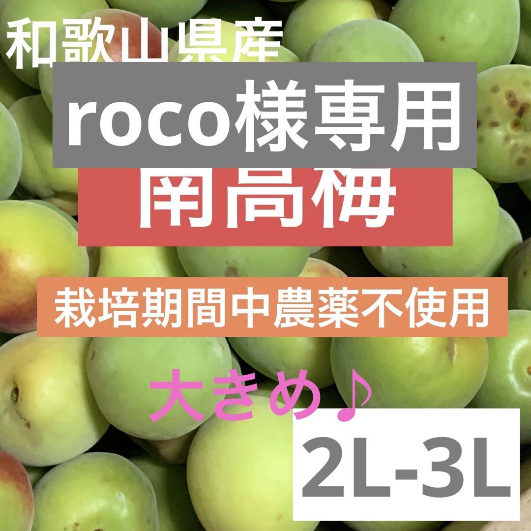 大きめ♪栽培期間中農薬不使用！和歌山紀州 南高梅♪2L〜3Lサイズ 5キロ(箱込