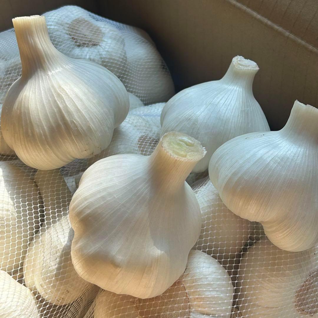 青森県産　にんにく　２Ｌ　４ｋｇ　特売 大感謝セール】新物 青森県産 生にんにく 2L 4kg 福地ホワイト六