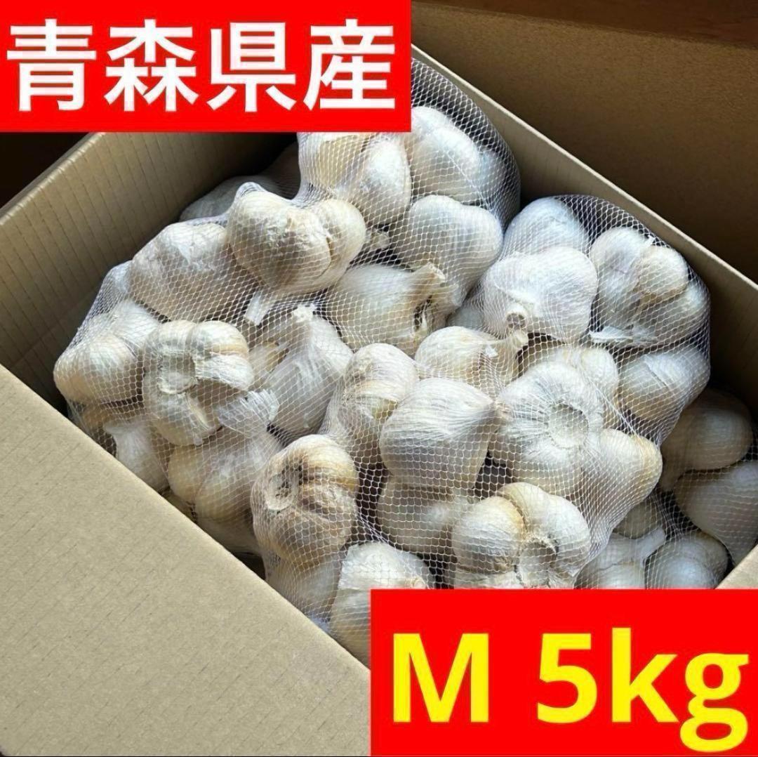 【お得セール】青森県産にんにく 5kg M 福地ホワイト 加工 激安 お得野菜